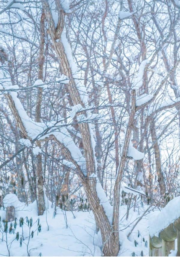 Whoseman-11-國民男友-阿部